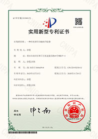 team member 01