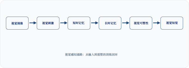 视功能训练软件1.png